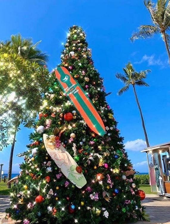 Christmas In Maui 2024 Asia Mareah